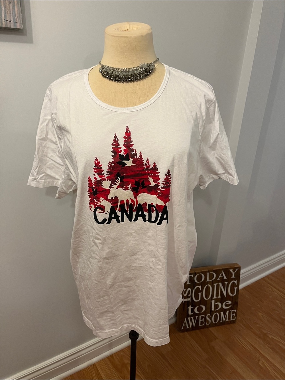 😍NORTHERN REFLECTIONS White Short Sleeve CANADA Crew Neck T-Shirt - Picture 2 of 8